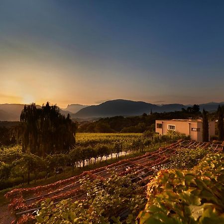Апартаменти Weingut Stuck Апп'яно-сулла-Страда-дель-Віно Екстер'єр фото