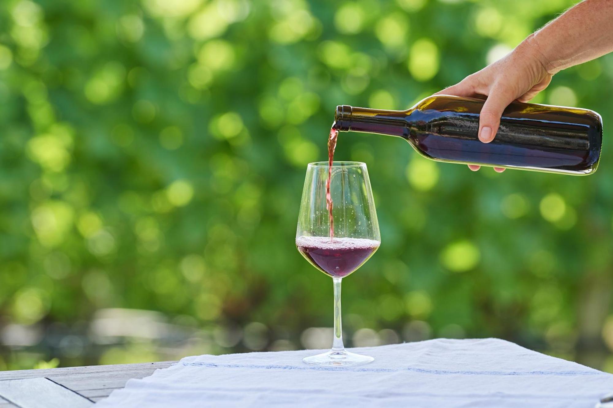 Апартаменти Weingut Stuck Апп'яно-сулла-Страда-дель-Віно Екстер'єр фото