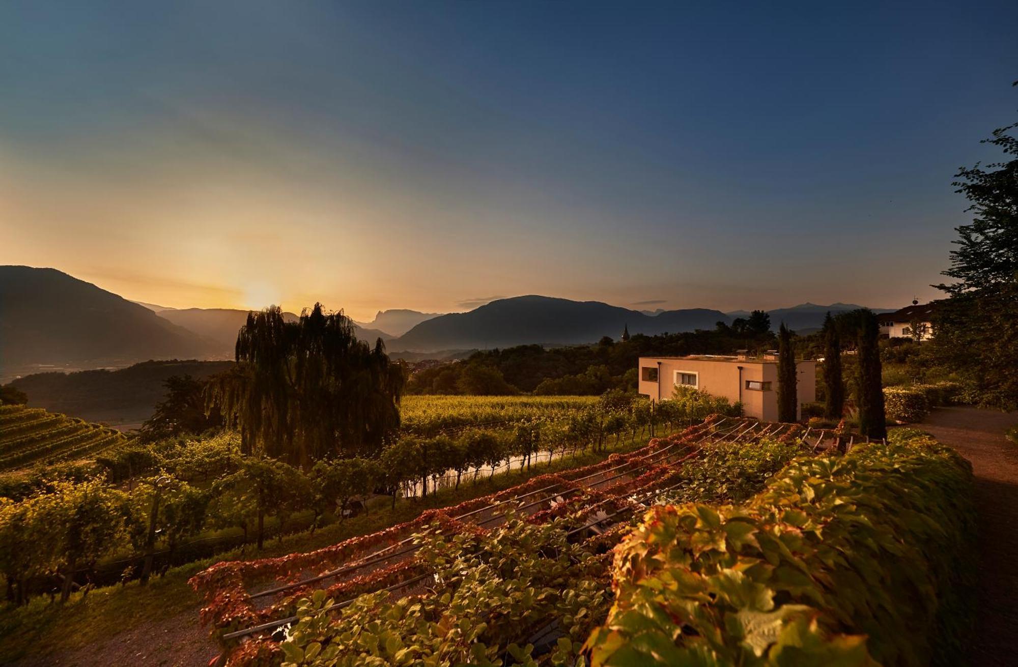 Апартаменти Weingut Stuck Апп'яно-сулла-Страда-дель-Віно Екстер'єр фото