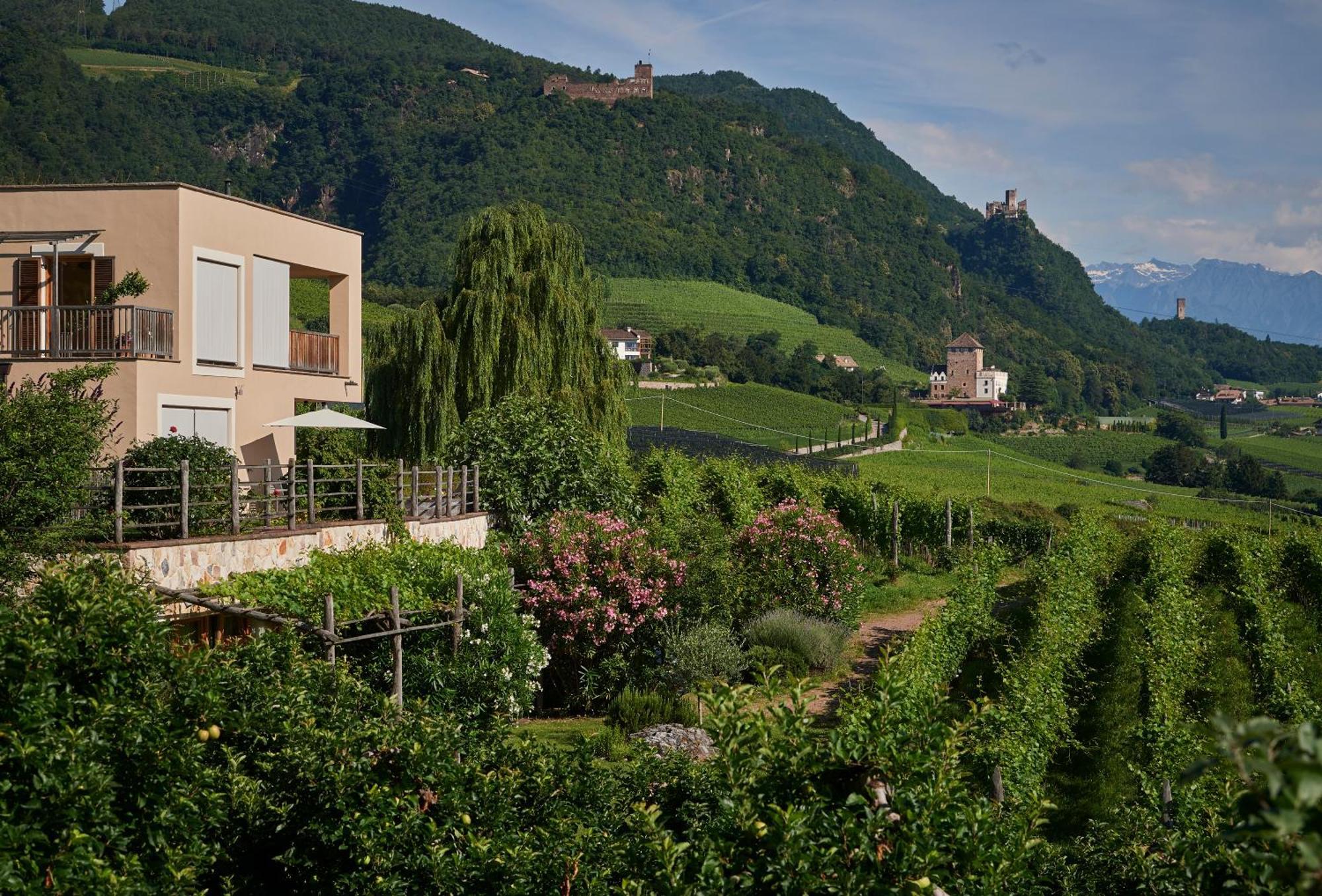 Апартаменти Weingut Stuck Апп'яно-сулла-Страда-дель-Віно Екстер'єр фото