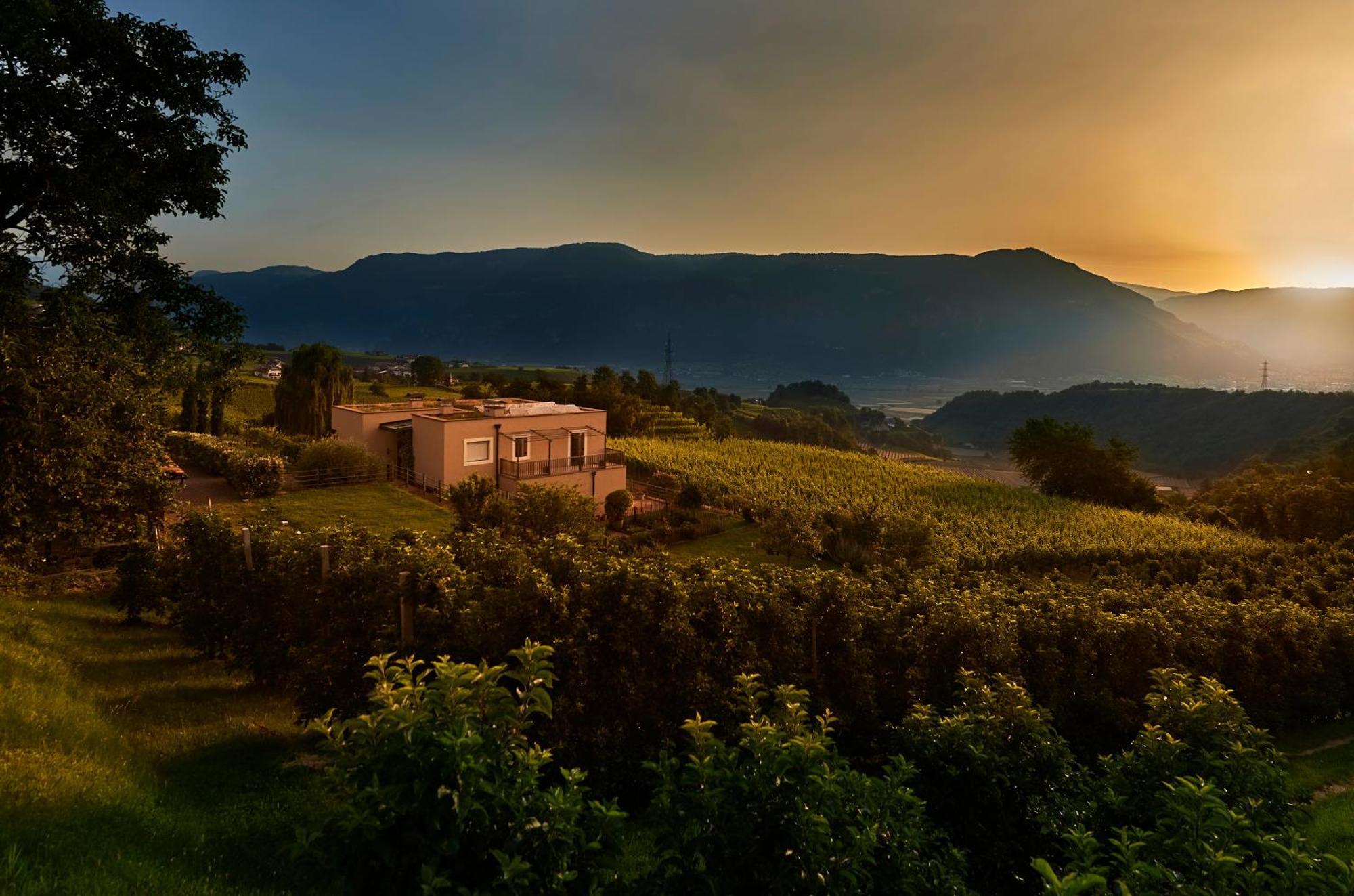 Апартаменти Weingut Stuck Апп'яно-сулла-Страда-дель-Віно Екстер'єр фото