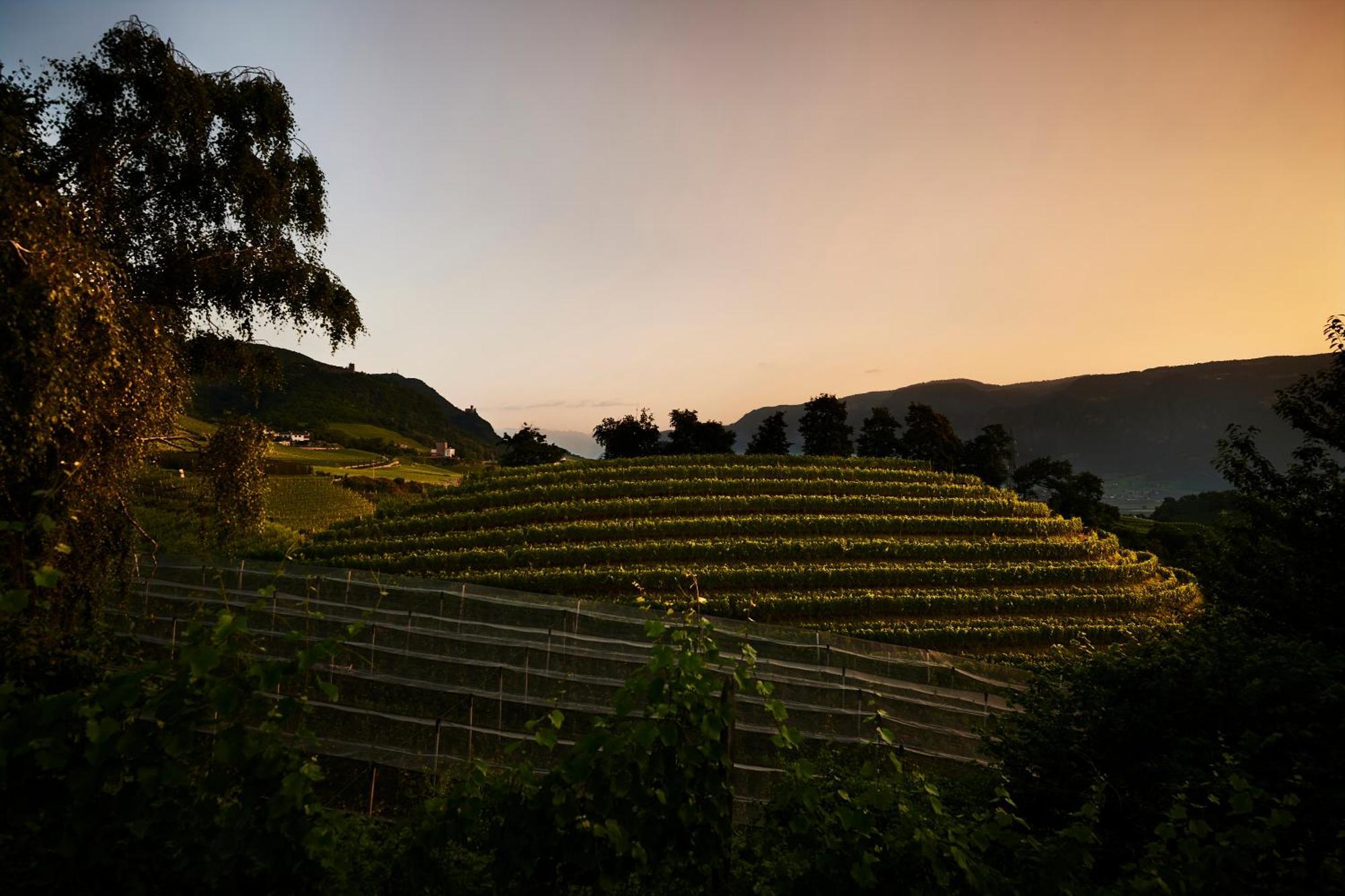Апартаменти Weingut Stuck Апп'яно-сулла-Страда-дель-Віно Екстер'єр фото